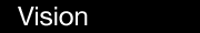 Vision
