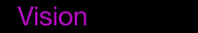 Vision